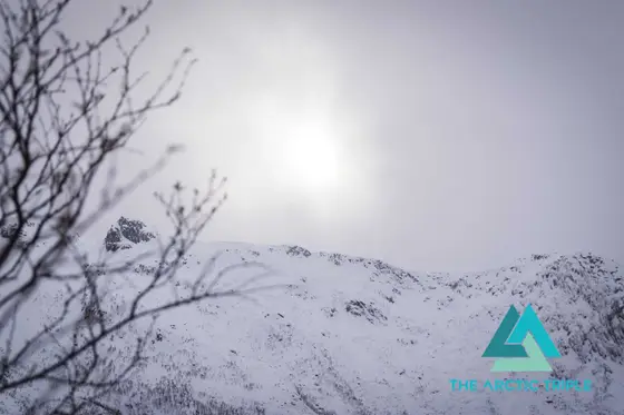 Lofoten Skimo 2024, photo 18 of 168