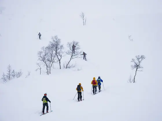 Lofoten Skimo 2025, photo 8 of 21