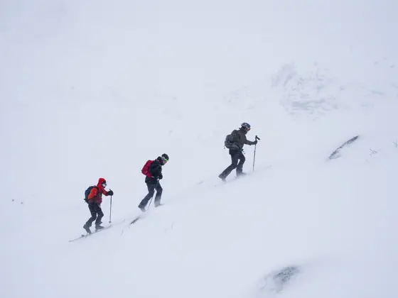 Lofoten Skimo 2025, photo 12 of 21