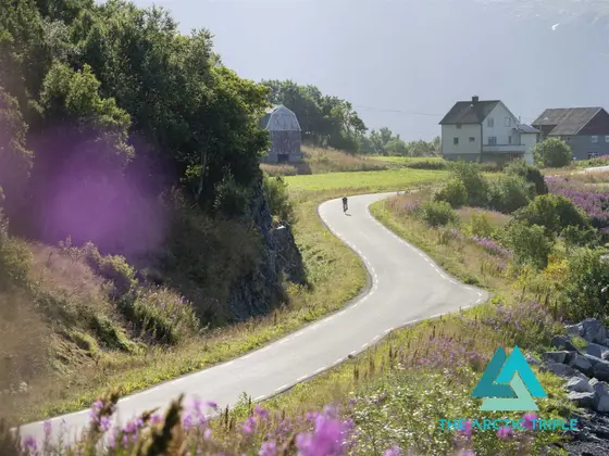 Lofoten Triathlon 2019, photo 29 of 68