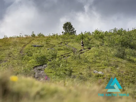Lofoten Triathlon 2020, photo 43 of 50