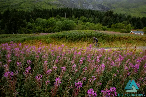 Lofoten Triathlon 2025, photo 27 of 100