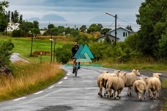 Lofoten Triathlon 2025, photo 100 of 100