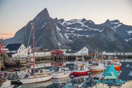 Lofoten Ultra-Trail 2019, photo 9 of 50