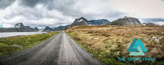 Lofoten Ultra-Trail 2019, photo 17 of 50