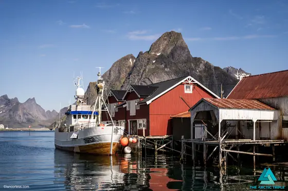 Lofoten Ultra-Trail 2021, photo 10 of 50
