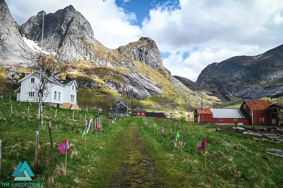Lofoten Ultra-Trail 2025, photo 3 of 77