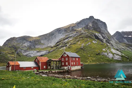 Lofoten Ultra-Trail 2026, photo 49 of 60